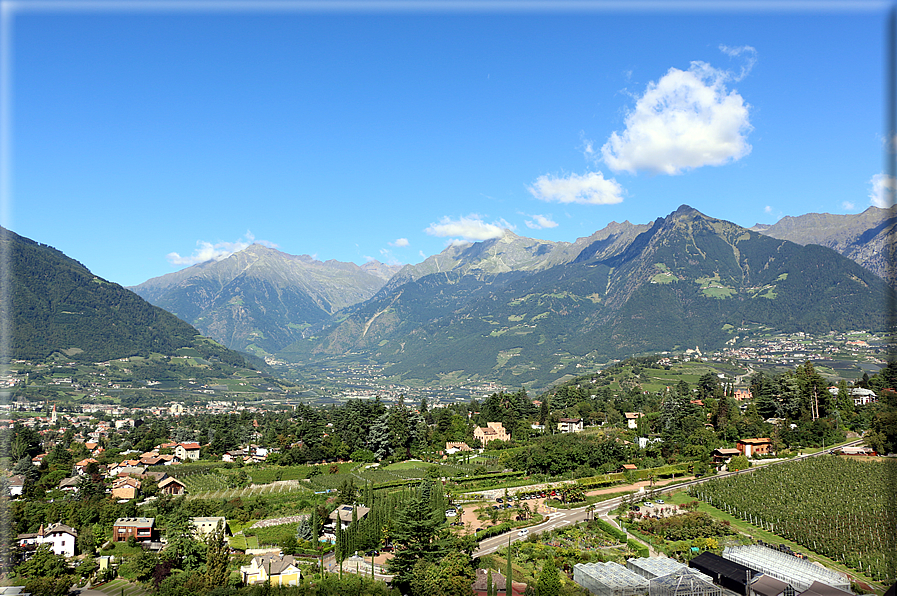 foto Giardini Trauttmansdorff - Boschi del Mondo